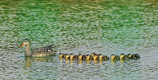 《心灵杀手2》PS5 Pro主机实机运行视频效果欣赏